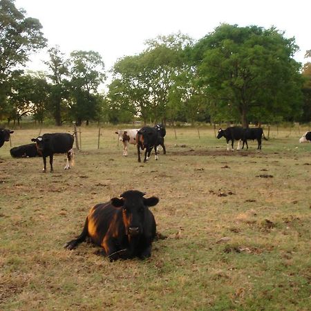 Hotel De Campo La Morena Ezeiza Luaran gambar